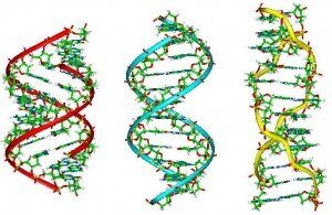 dna images-publicdomain